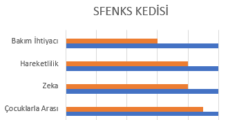 sfenks kedisi