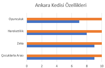 ankara-cat