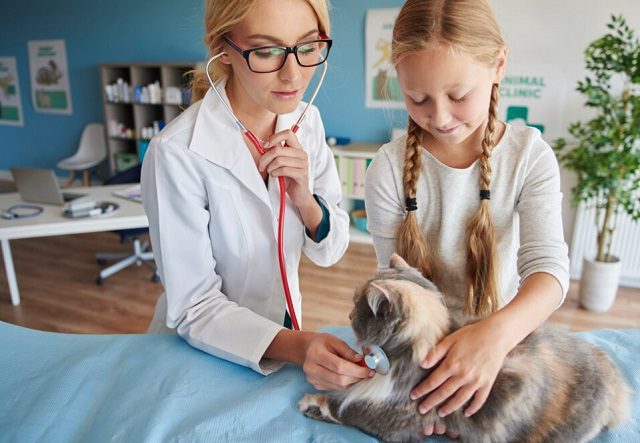 most-positive-cat-diseases