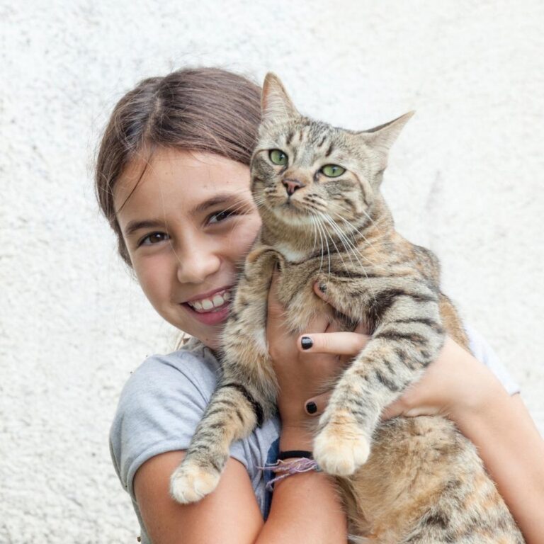 Kedi Sahipleri Tarafından Yapılan Hatalar için 5 Davranış!