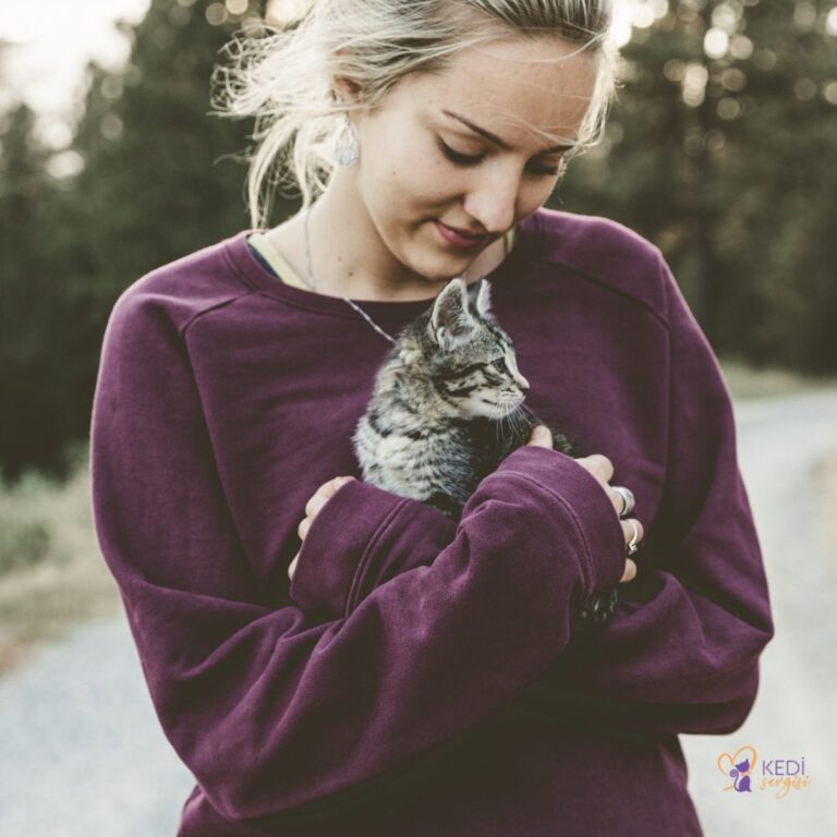 Kediler Sahiplerini Özler mi? Özlem Duyan Kedi Belirtileri