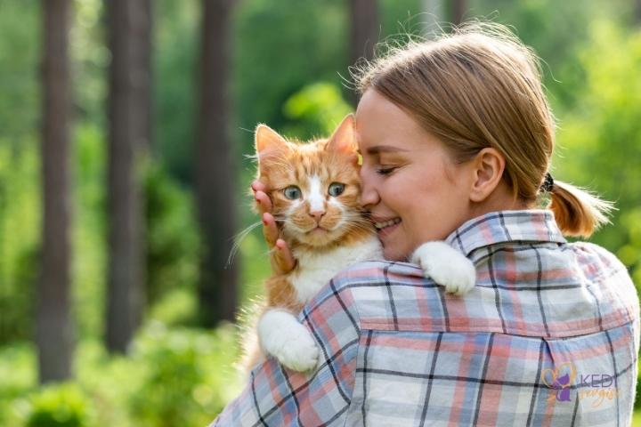 Ev Kedileri Dışarıya Çıkarılmalı mı? 6 Maddede Dikkat Edilmesi Gerekenler