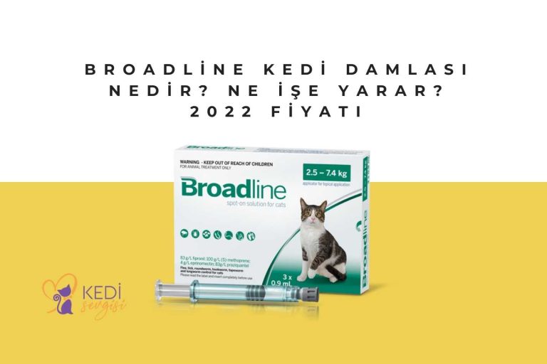 Broadline Kedi Damlası Nedir? Ne İşe Yarar? 2022 Fiyatı