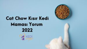 Cat-Chow-Kisir-Kedi-Mamasi-Yorum-2022